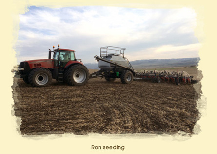 Ron Bos Seeding at Bos Hay and Grain